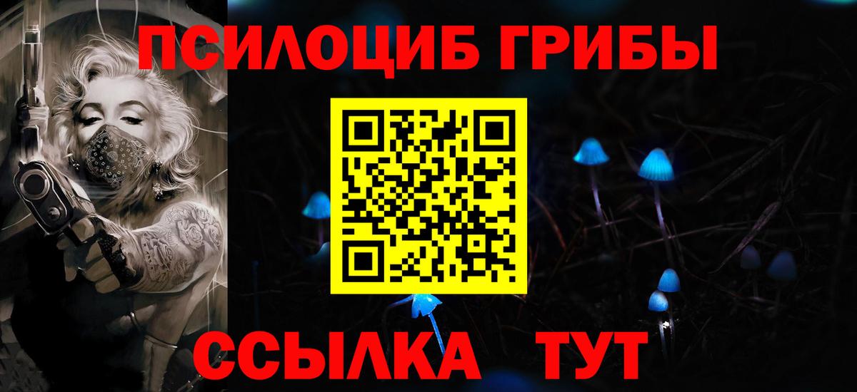 Псилоцибиновые грибы Psilocybe Великие Луки