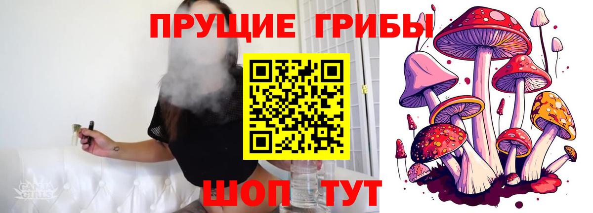 Псилоцибиновые грибы Psilocybine cubensis  Вход с VPN  Великие Луки 